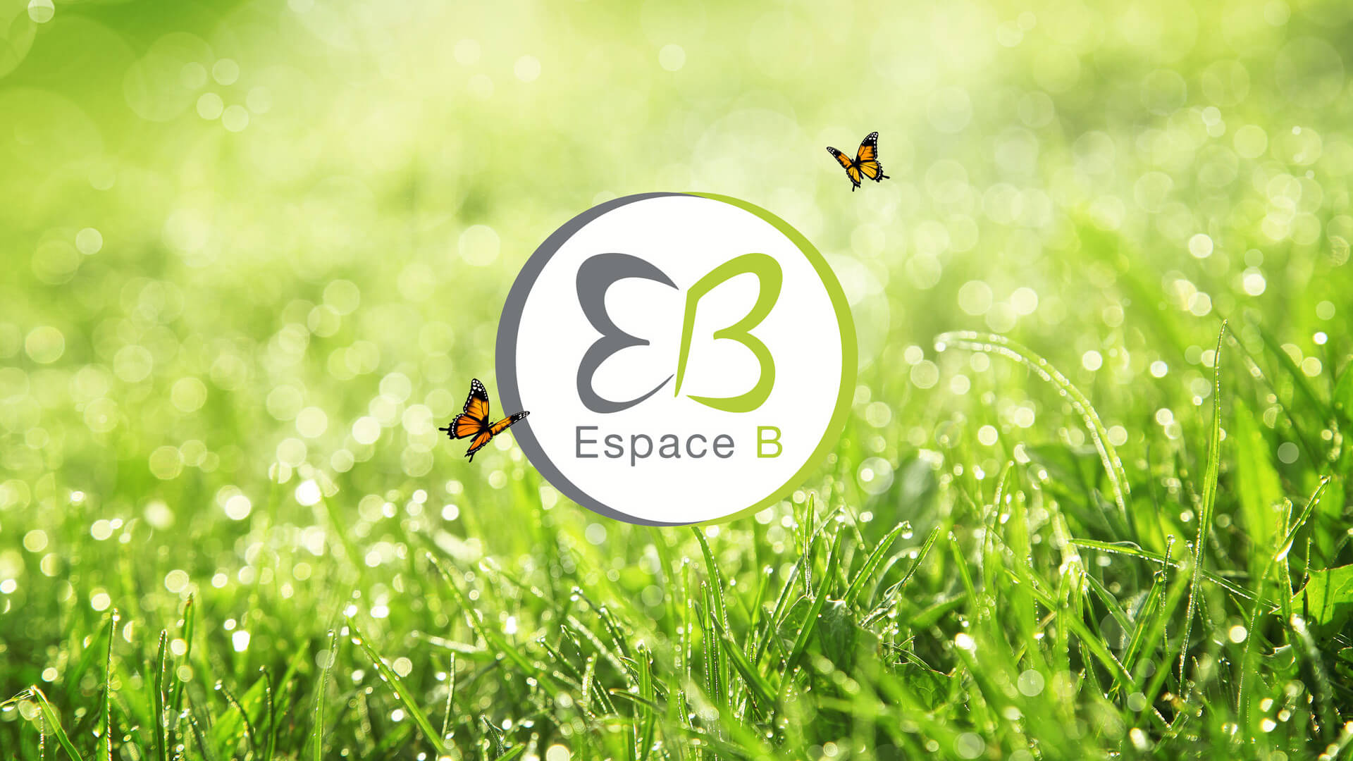 image video espaceB